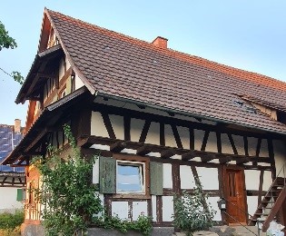 Steinhauer